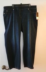 NWT Investments Slim Straight 2x Short Jean